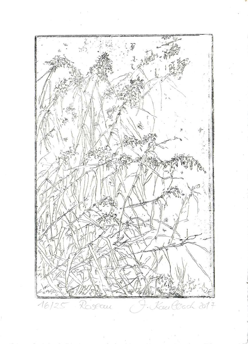 Roseau 16/25 by Julia Kaulbach, Image 1.