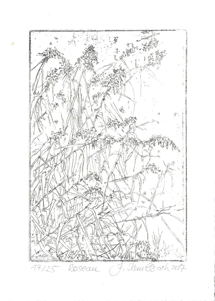 Roseau 17/25 by Julia Kaulbach, Image 1.