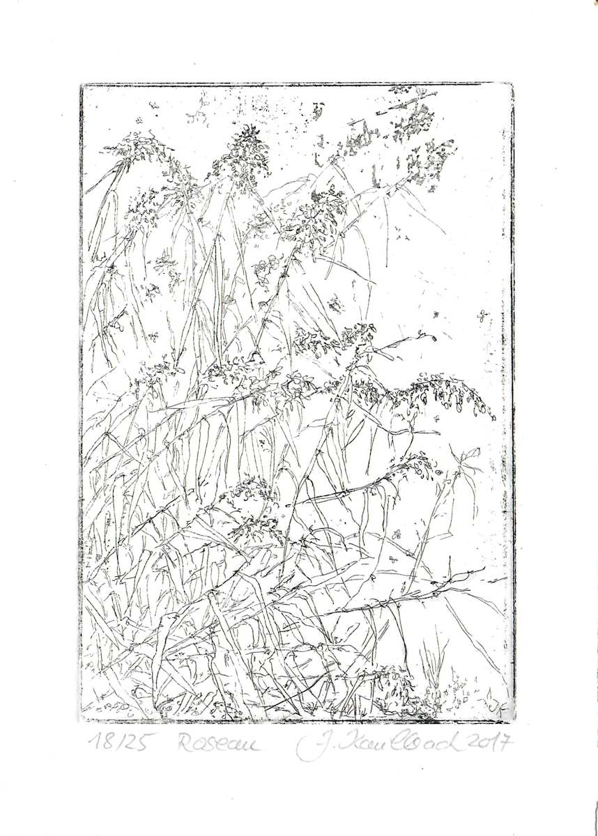 Roseau 18/25 by Julia Kaulbach, Image 1.