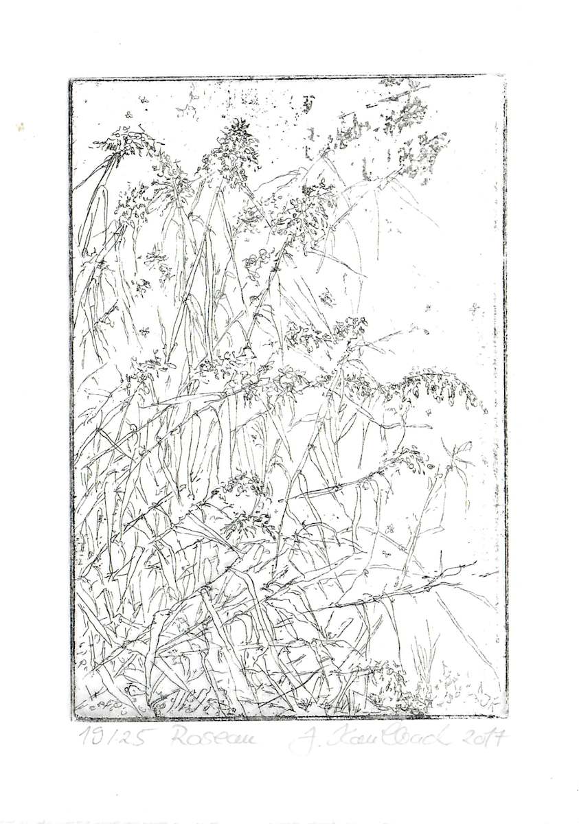 Roseau 19/25 by Julia Kaulbach, Image 1.
