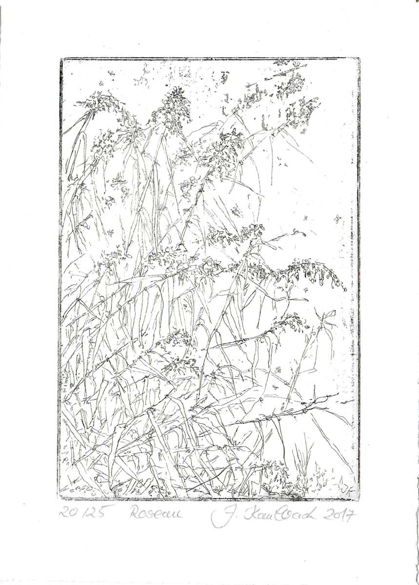 Roseau 20/25 by Julia Kaulbach, Image 1.