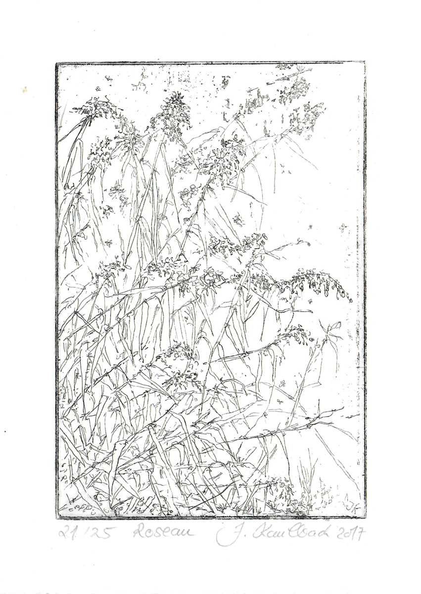 Roseau 21/25 by Julia Kaulbach, Image 1.