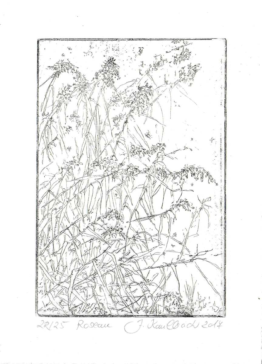 Roseau 22/25 by Julia Kaulbach, Image 1.
