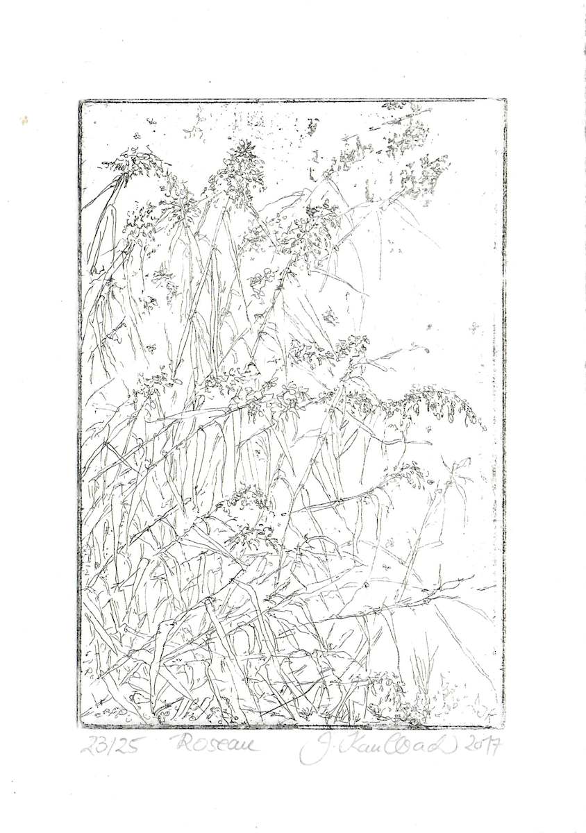 Roseau 23/25 by Julia Kaulbach, Image 1.