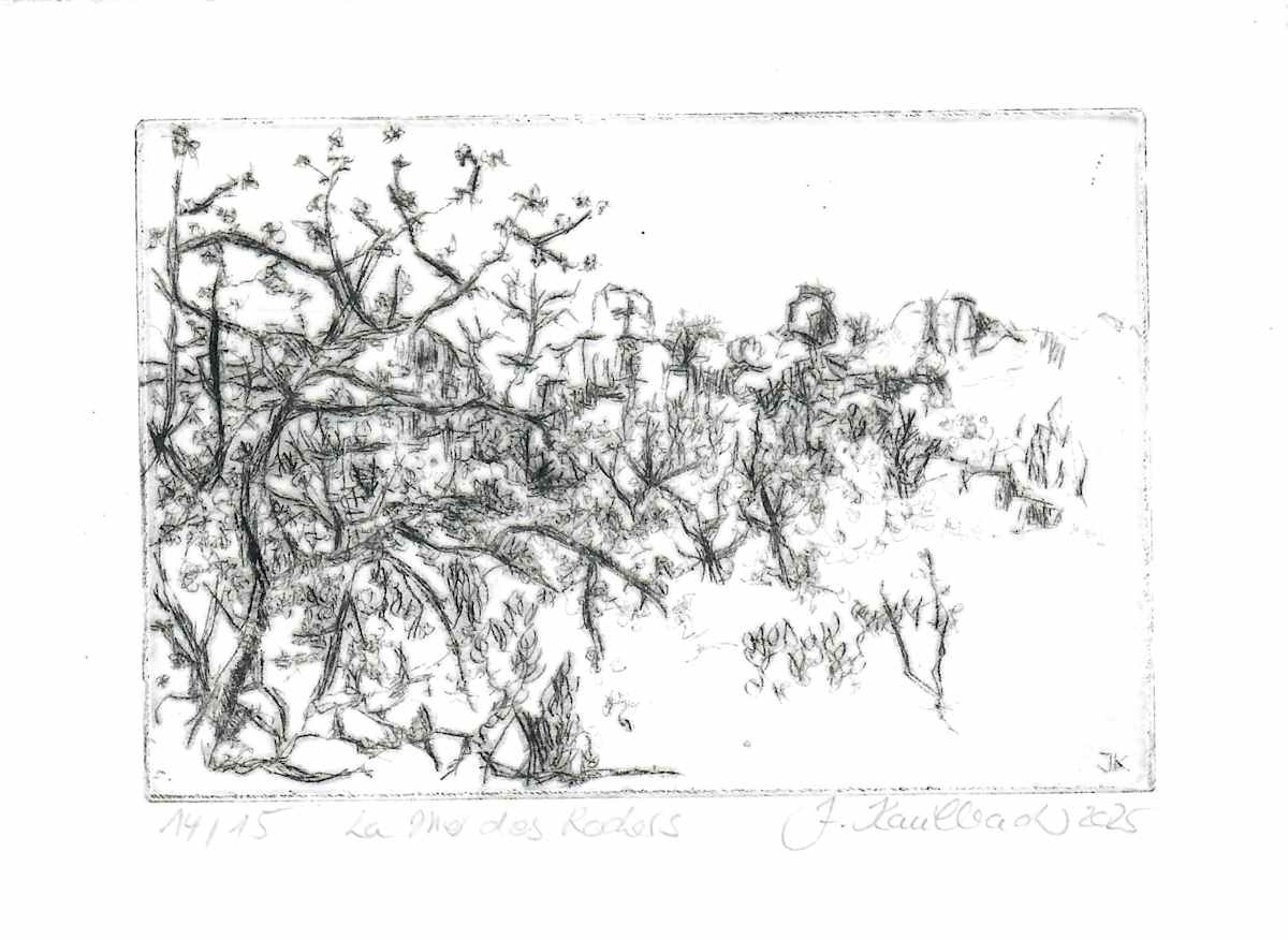 La Mer de Rochers 14/15 by Julia Kaulbach, Image 1.