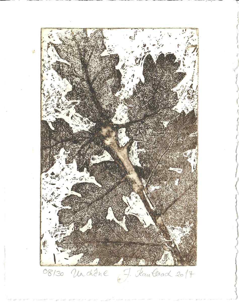 Chene, maron 8/30 by Julia Kaulbach, Image 1.