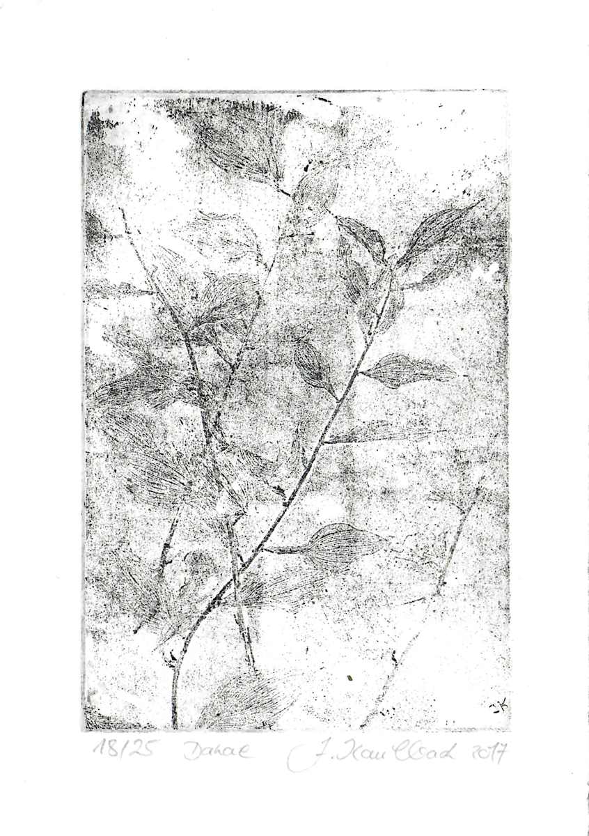 Danae schwarz 18/25 by Julia Kaulbach, Image 1.