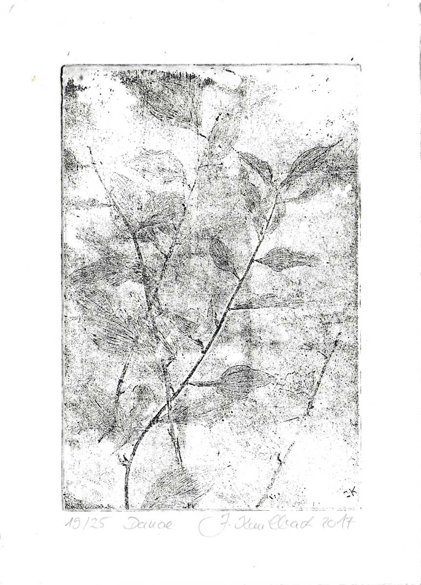 Danae schwarz 19/25 by Julia Kaulbach, Image 1.