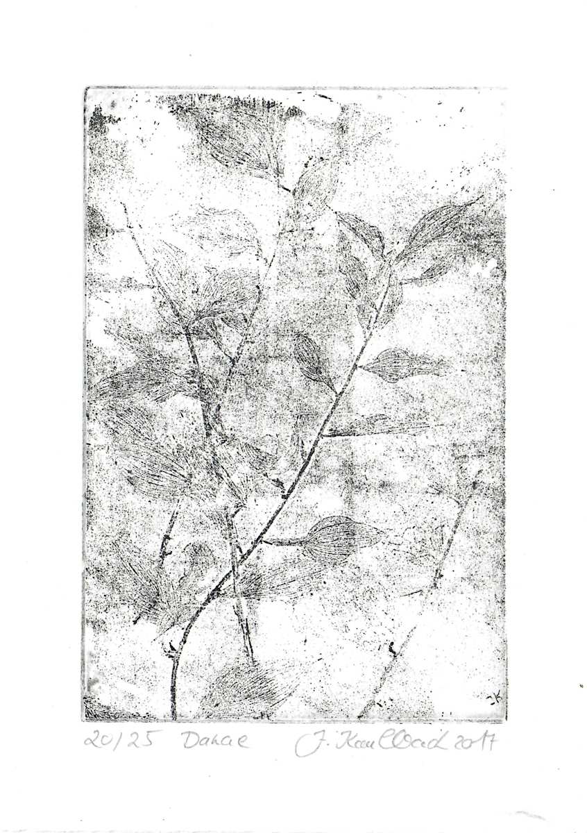 Danae schwarz 20/25 by Julia Kaulbach, Image 1.