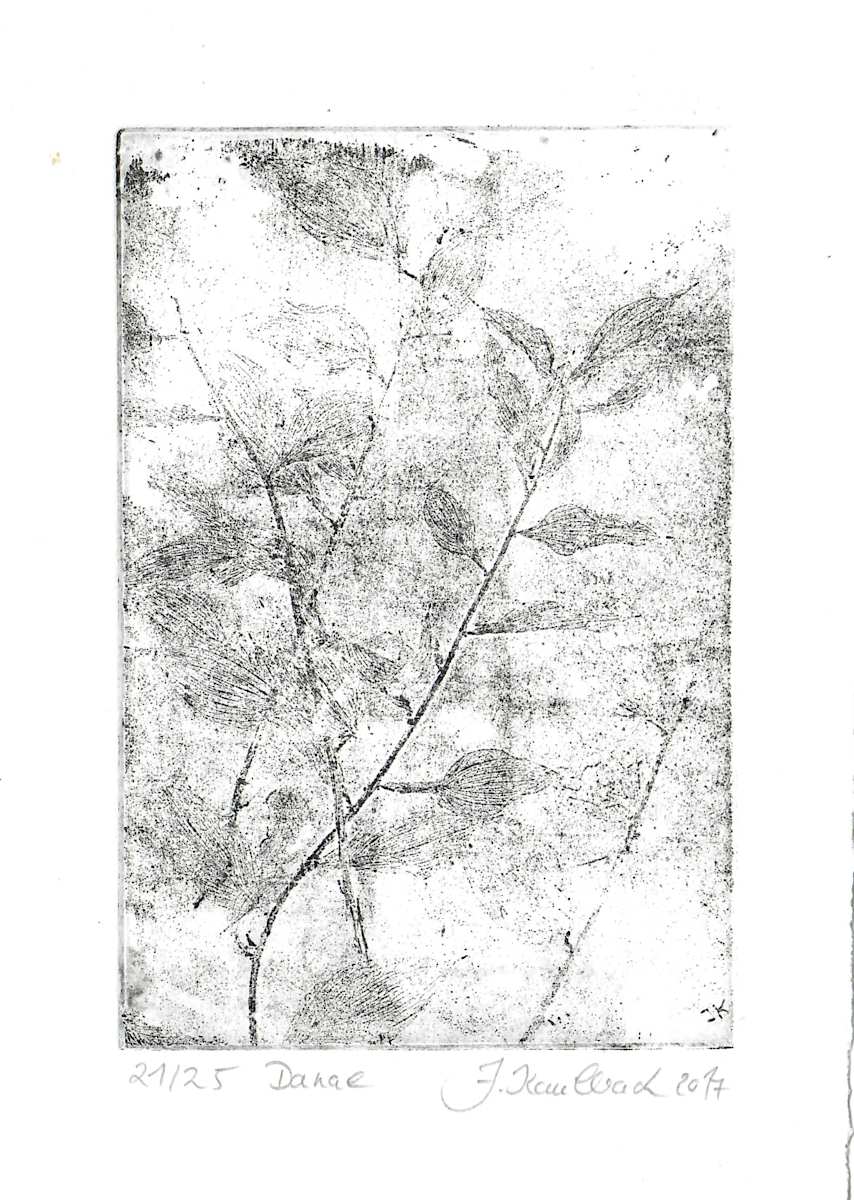 Danae schwarz 21/25 by Julia Kaulbach, Image 1.