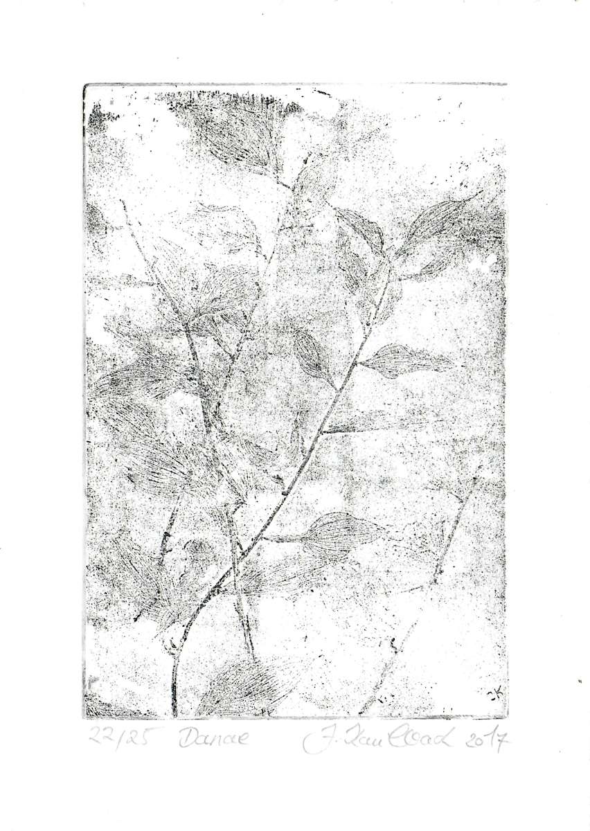 Danae schwarz 22/25 by Julia Kaulbach, Image 1.