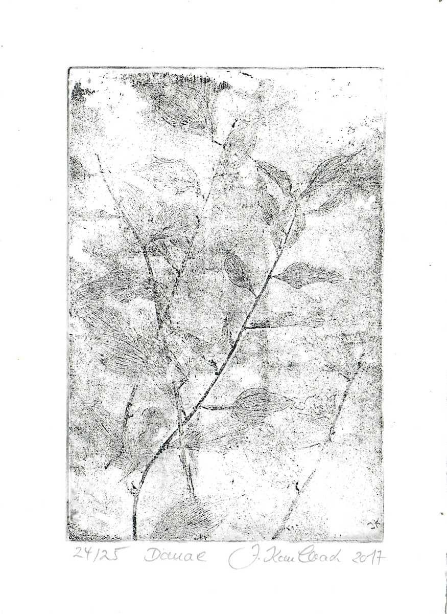 Danae schwarz 24/25 by Julia Kaulbach, Image 1.