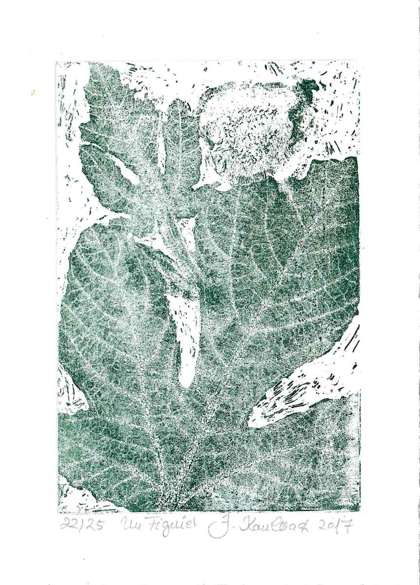 Figue vert 22/25 by Julia Kaulbach, Image 1.
