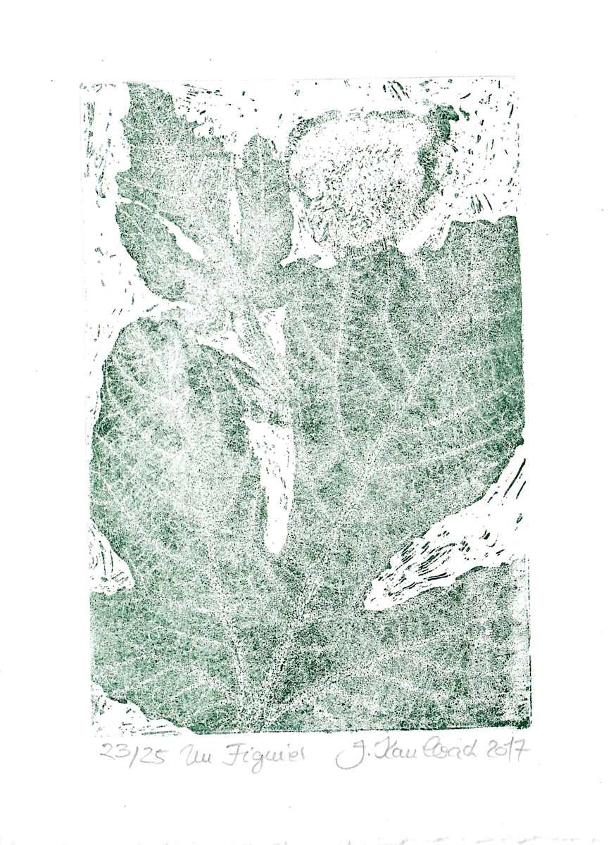 Figue vert 23/25 by Julia Kaulbach, Image 1.