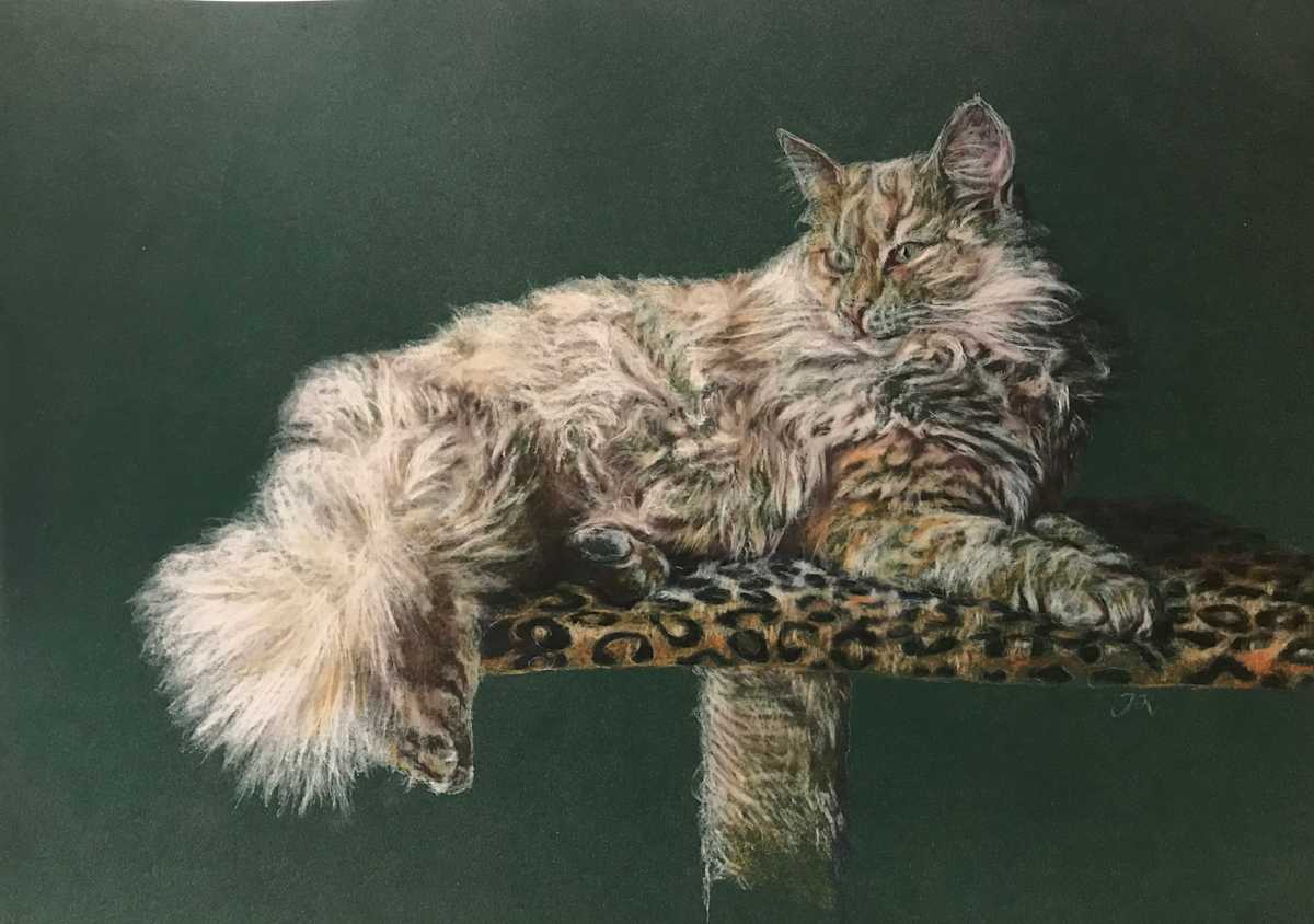 Katze Eden by Julia Kaulbach 