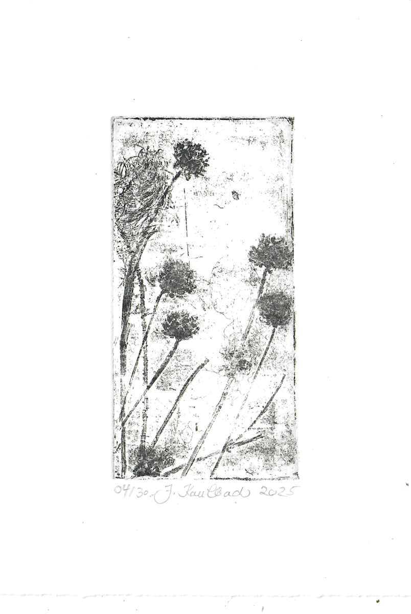 Petite fleure 4/25 by Julia Kaulbach, Image 1.
