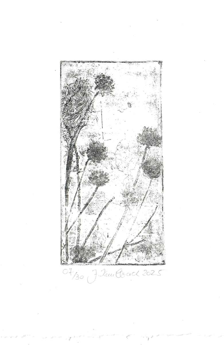 Petite fleure 7/25 by Julia Kaulbach, Image 1.
