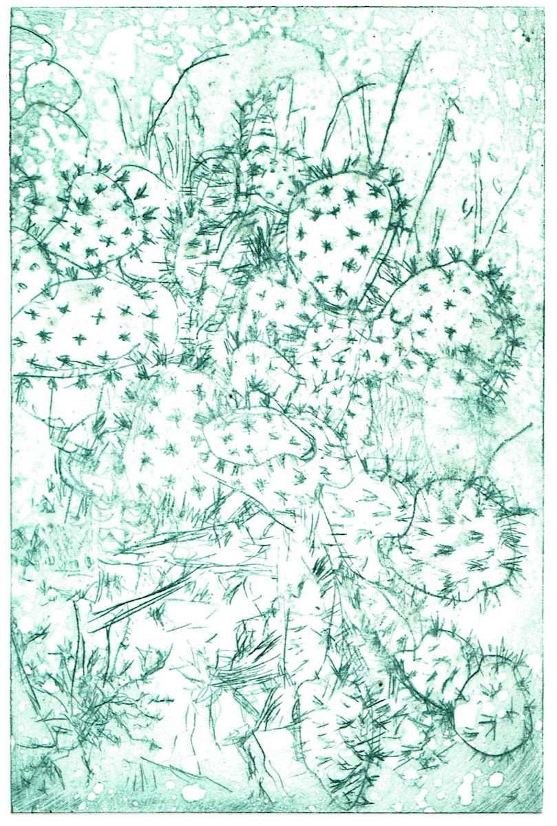 Un Cactus #2 by Julia Kaulbach, Image 1.