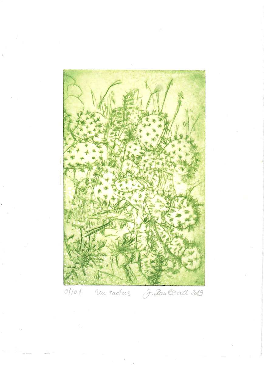 Un Cactus #4 by Julia Kaulbach, Image 1.