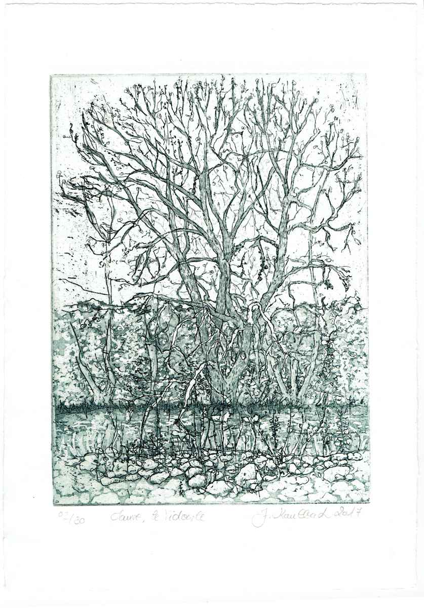 Baum, le vidourle, primtemps 12/25 by Julia Kaulbach 