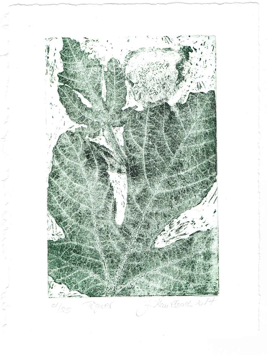 Figue vert, edition image.