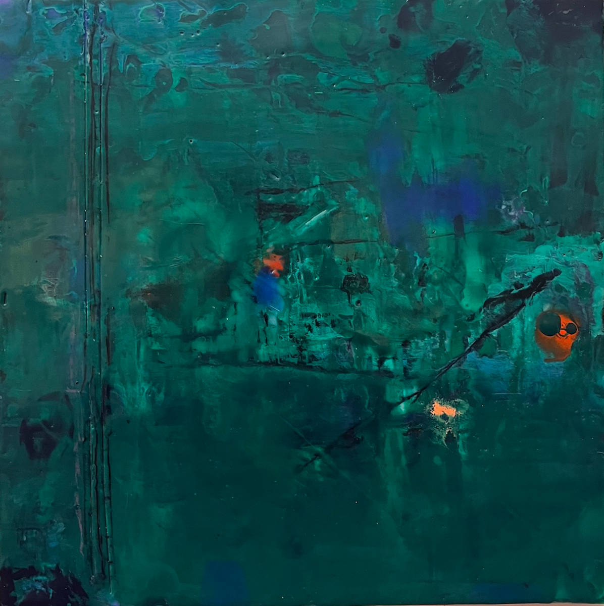 Waking Chameleon by Francesca Saveri, Image 1.