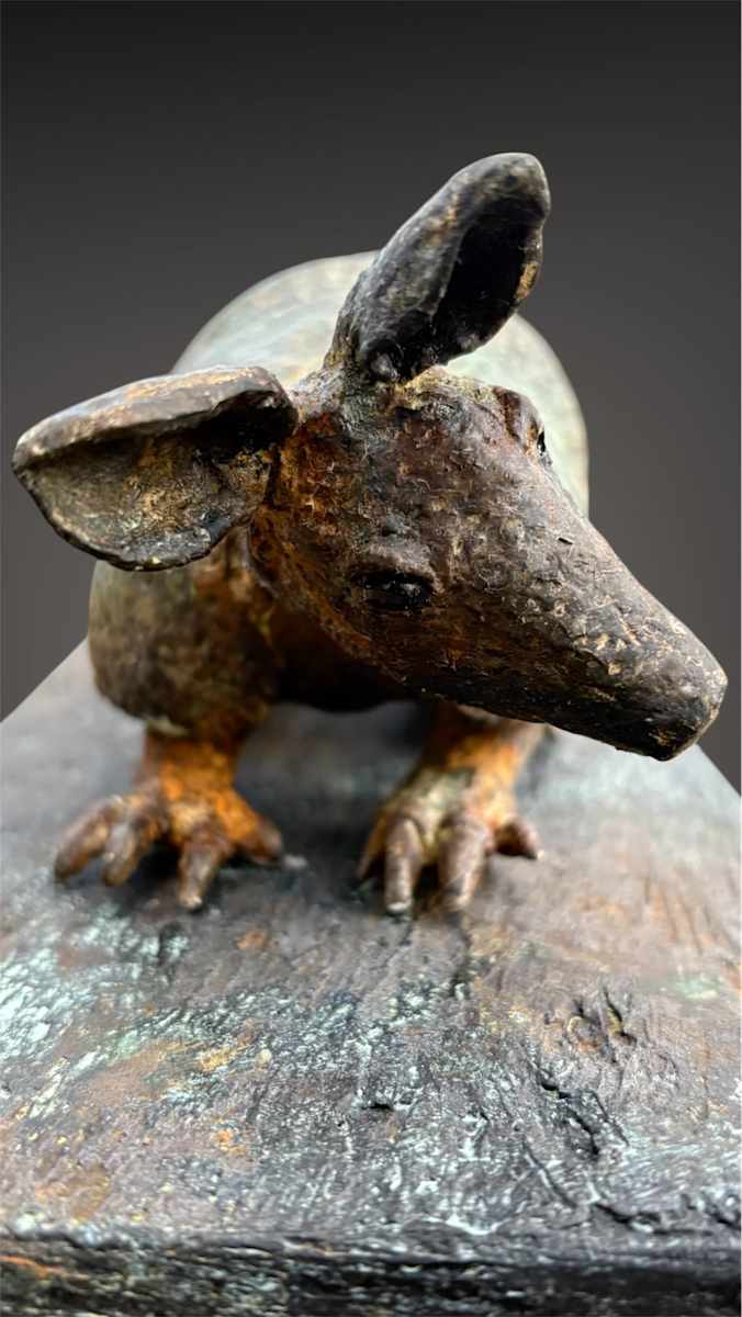 Armored by Cindy Stevens, Image 1.