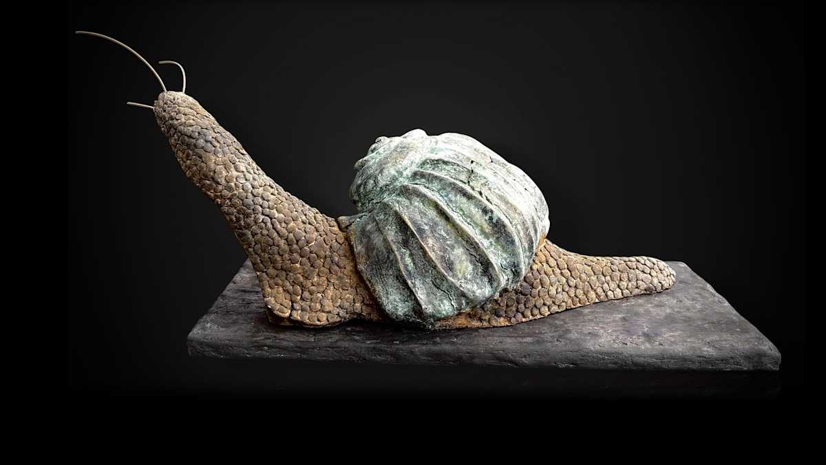 Weathered by Cindy Stevens, Image 1.