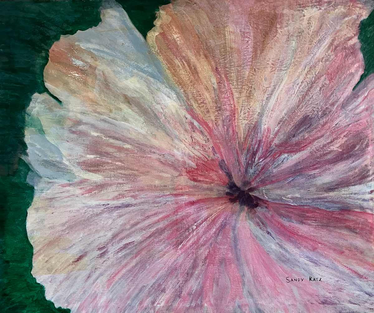 Spring Bloom by Sandy Katz 