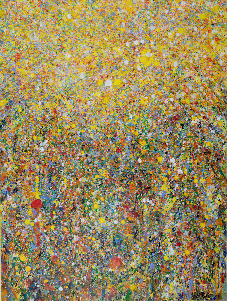 Sun Spots by Y. F. Shebeko 