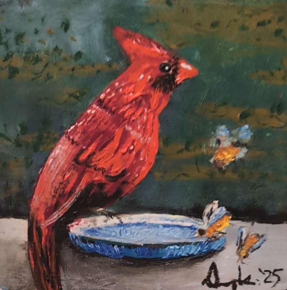 Cardinal And 3 Wee Bees by Douglas Black  Image: Cardinal And 3 Wee Bees