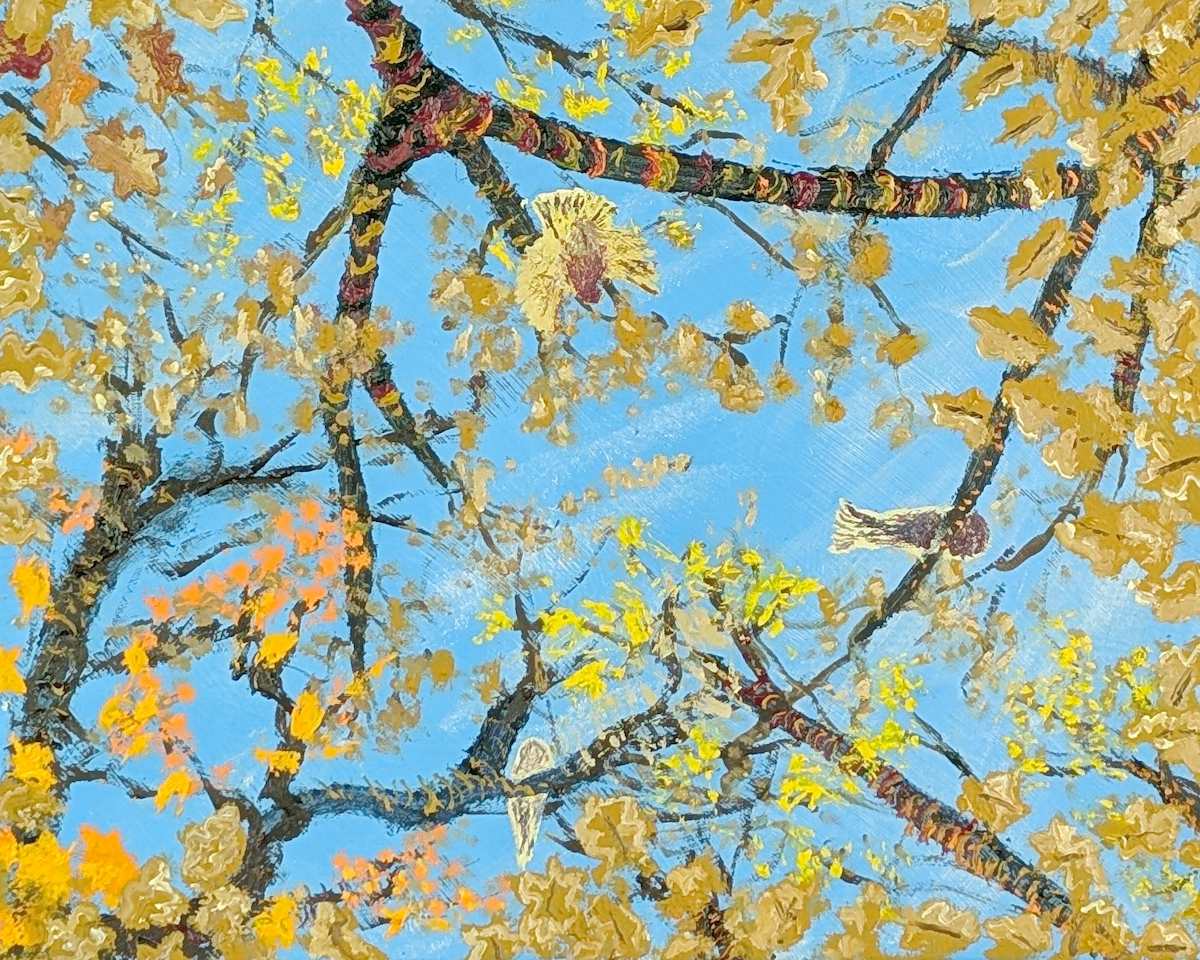 Cloud Dance No. 1 by Douglas Black, Image 1.