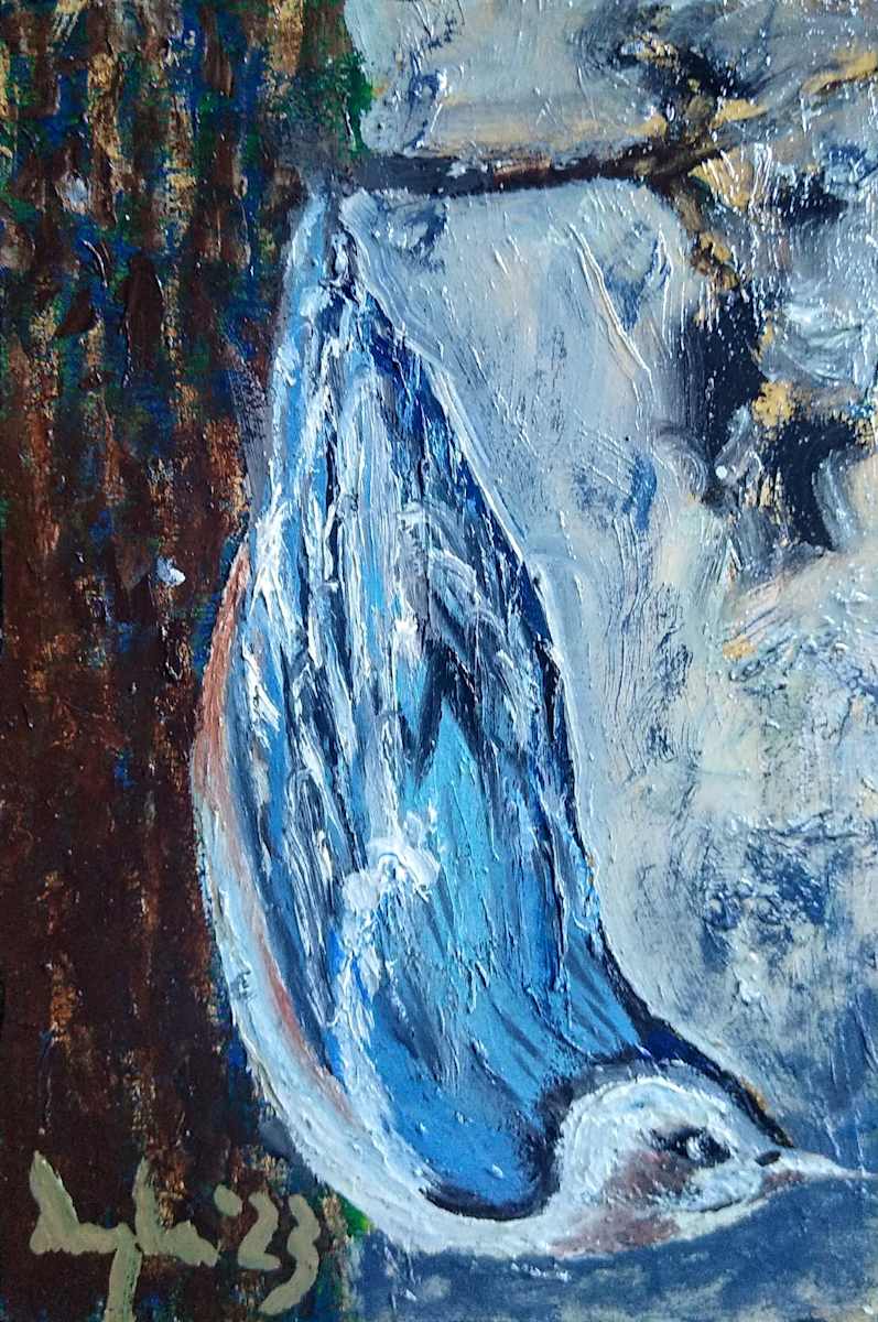 Nuthatch Notices Something by Douglas Black  Image: Nuthatch: from the Little Birds Mini Oils Series