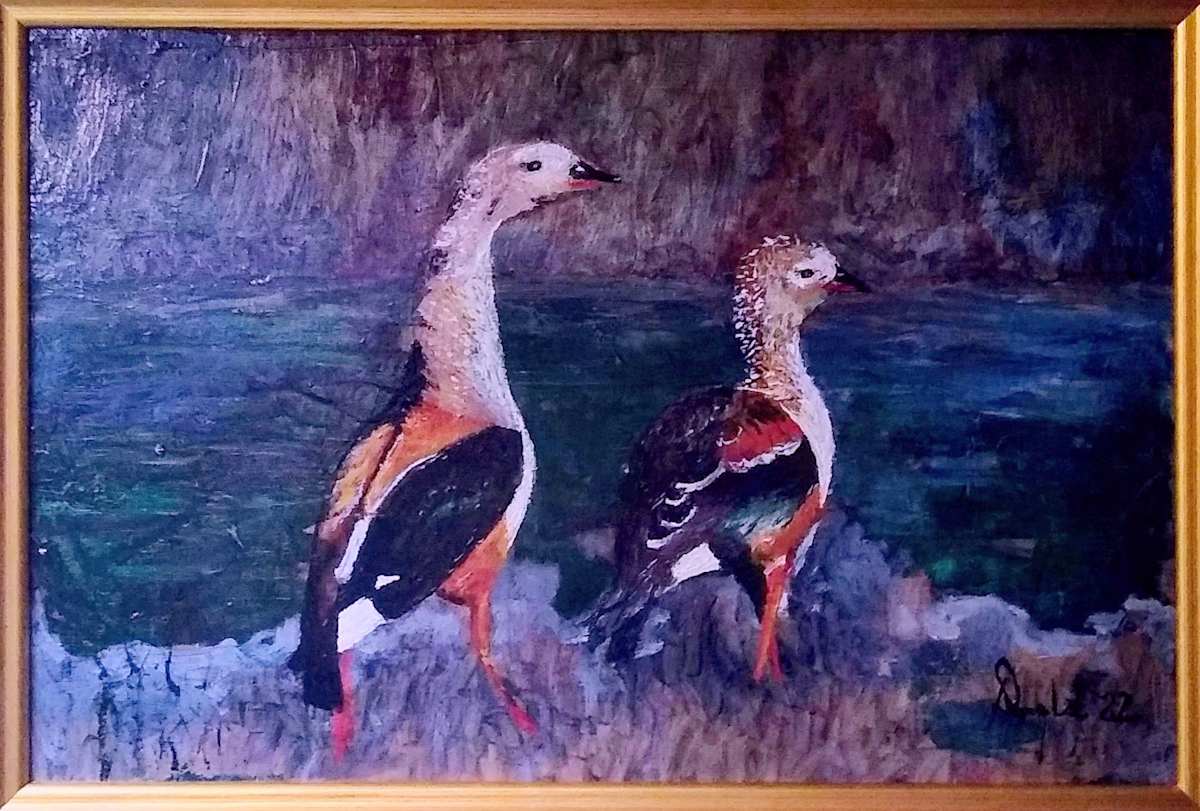 Pair Of African Orinoco Geese by Douglas Black  Image: Pair Of African Orinoco Geese