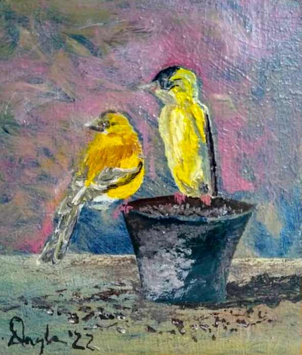 Pair Of Yellow Finches Notice Something New by Douglas Black  Image: Pair Of Yellow Finches Notice Something New