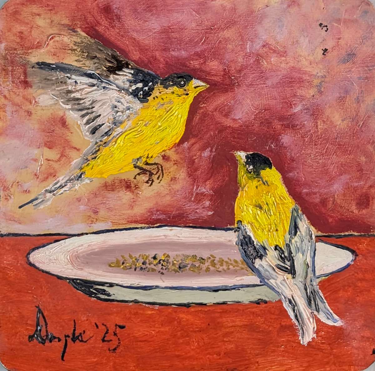 A Bunting We Will Go by Douglas Black  Image: A Bunting We Will Go