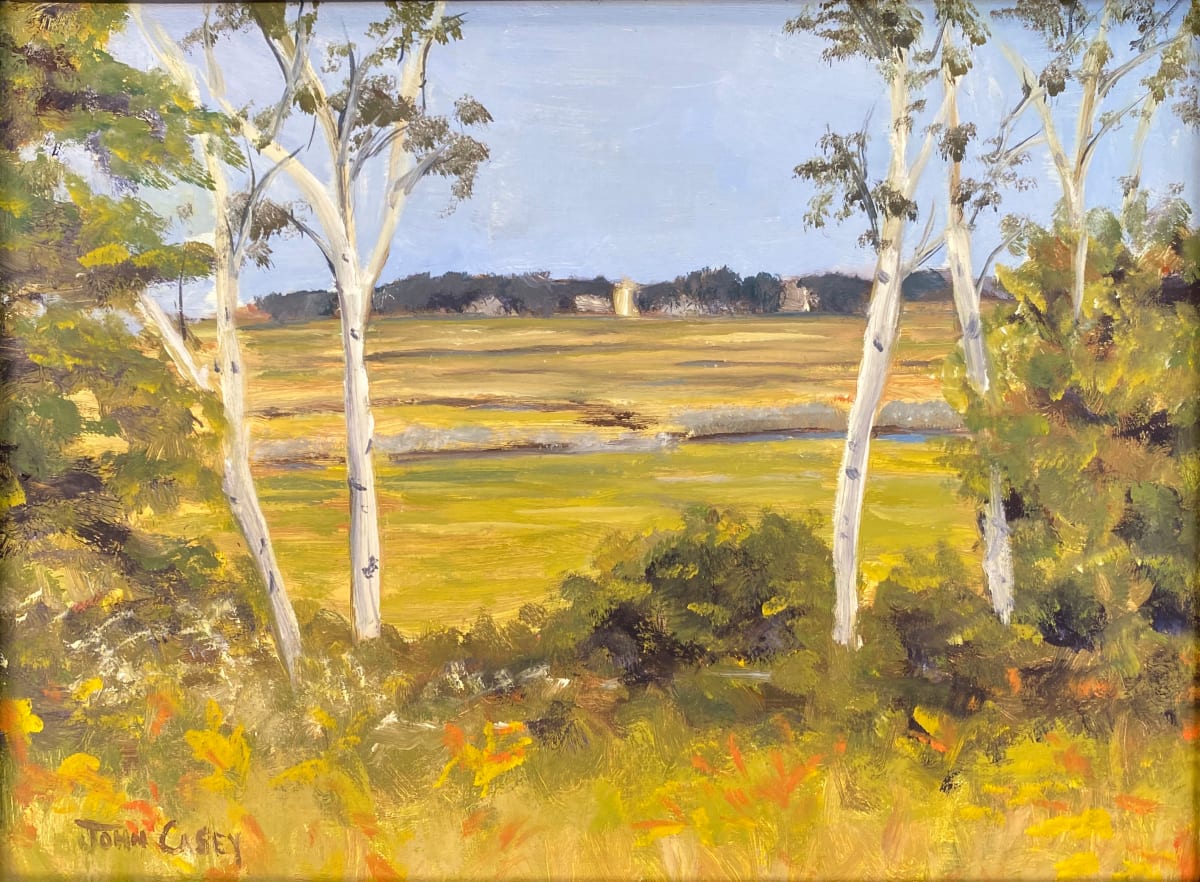 Marsh View in August by John Casey 
