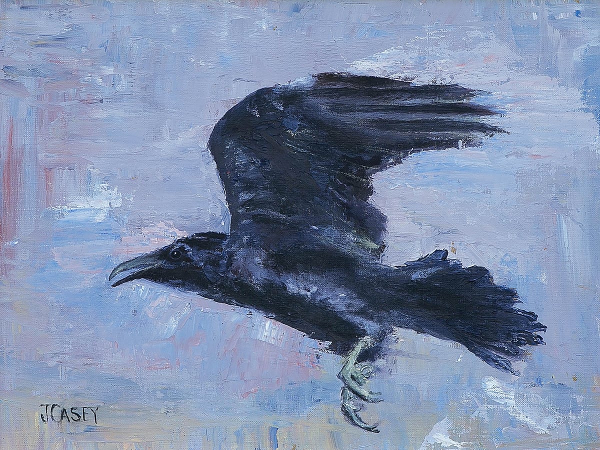 Soar by John Casey 