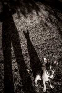 Me and My Buddy by Wanda Oliver 