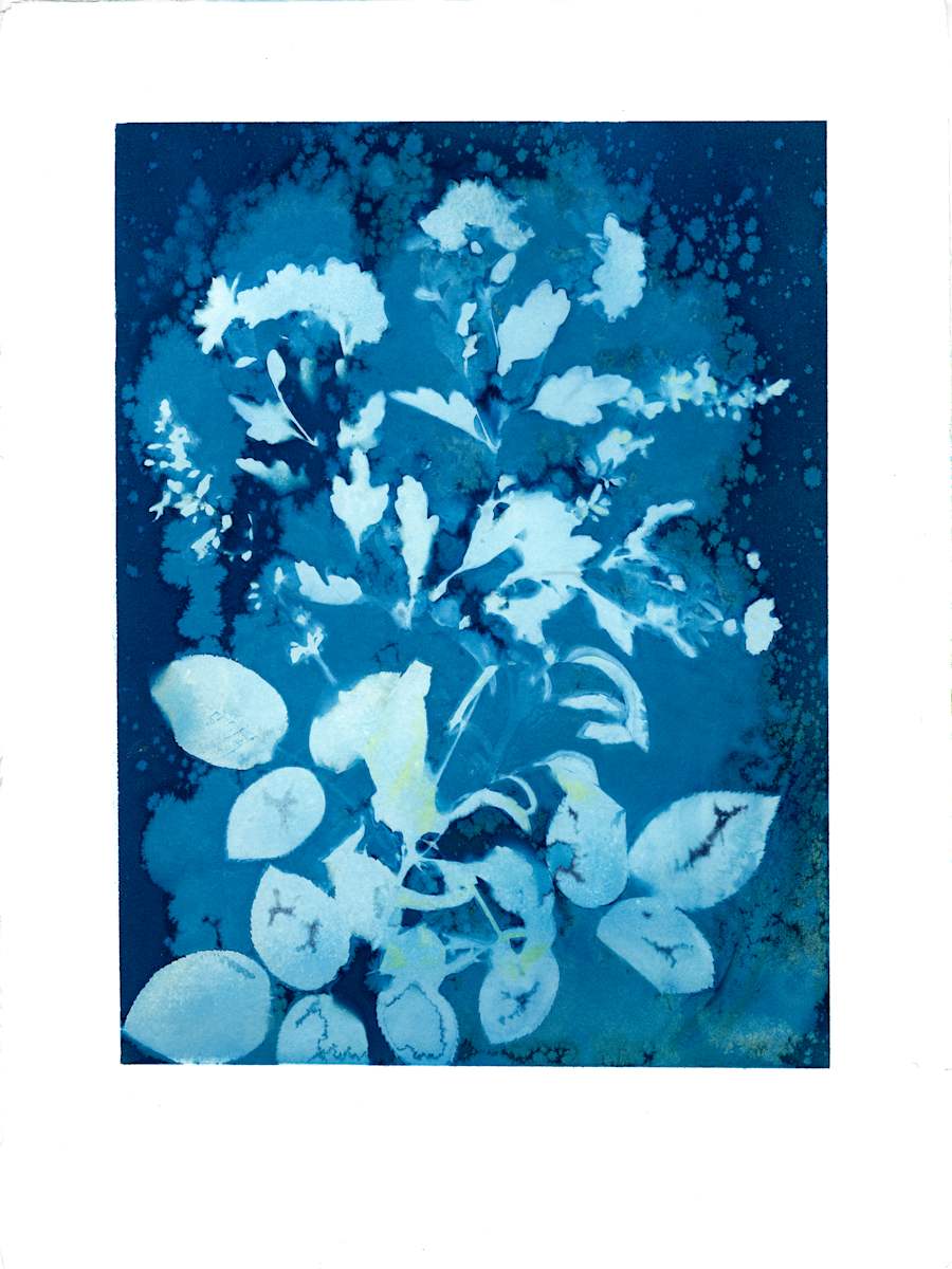 In The Garden #1 by Wanda Oliver 