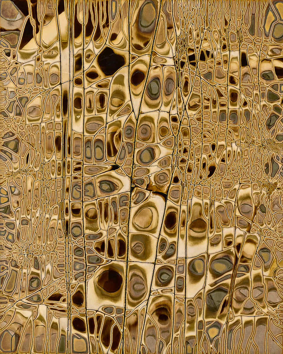 Pop Chemigram #5 by Wanda Oliver 
