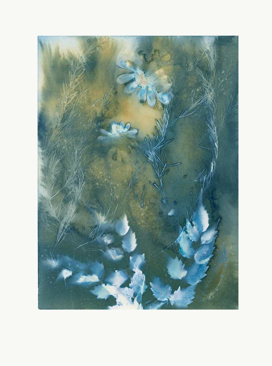 In the Garden #2 by Wanda Oliver 