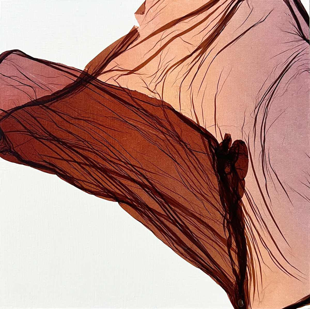 Float Mini #3 by Jenny Johannsen 