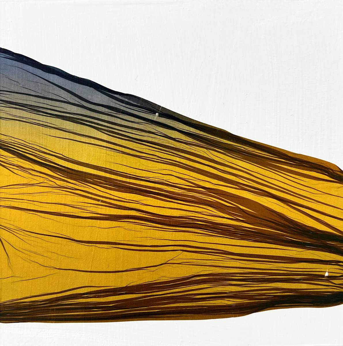 Float Mini #2 by Jenny Johannsen 