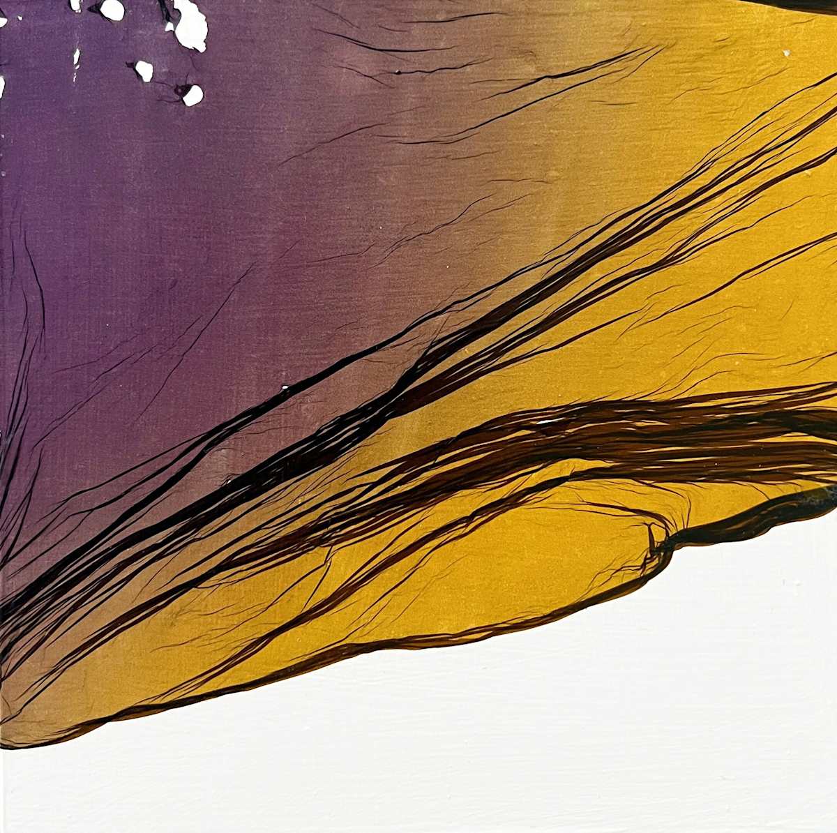 Float Mini #9 by Jenny Johannsen 