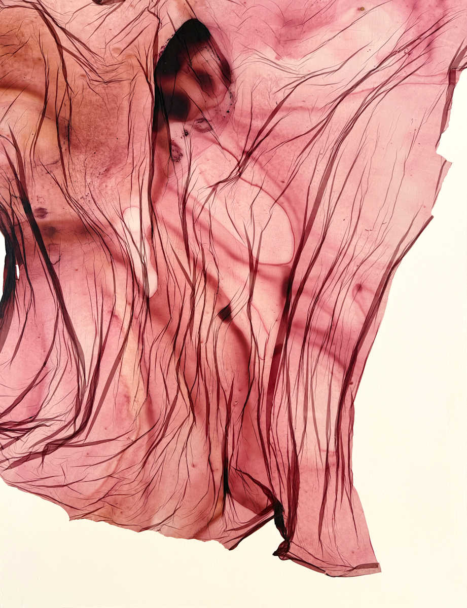 Ruby Air by Jenny Johannsen 