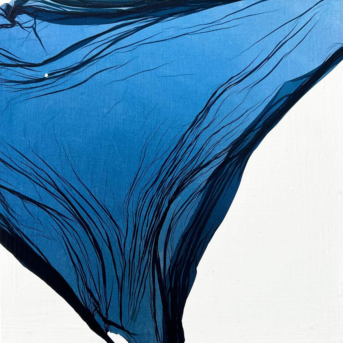 Float Mini #13 by Jenny Johannsen 