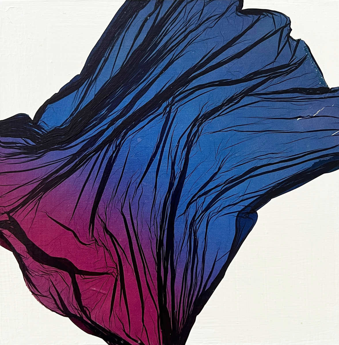 Float Mini #4 by Jenny Johannsen 