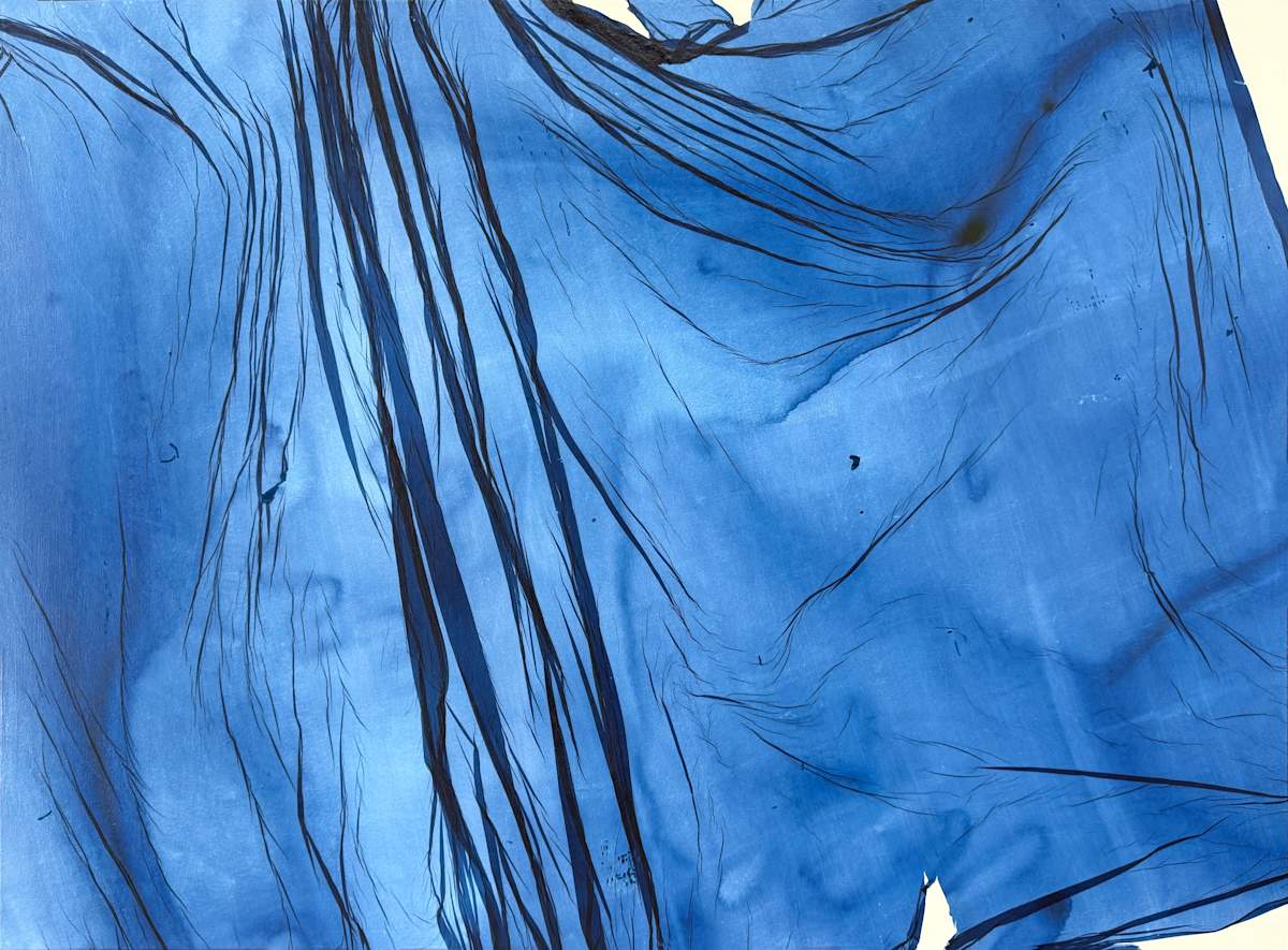 Field Study #7 (copy) by Jenny Johannsen, Image 1.