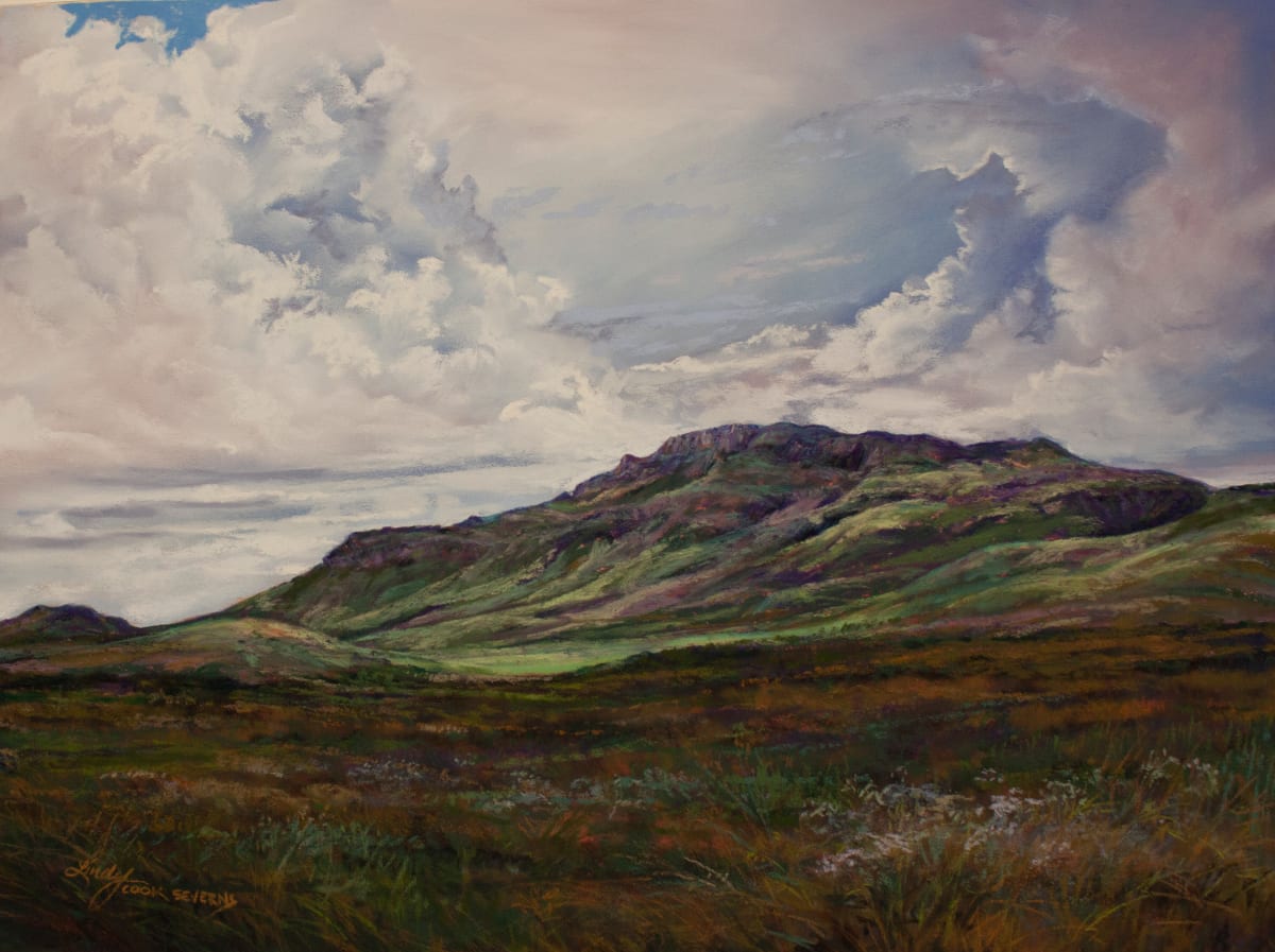 For Everything, A Season by Lindy Cook Severns 